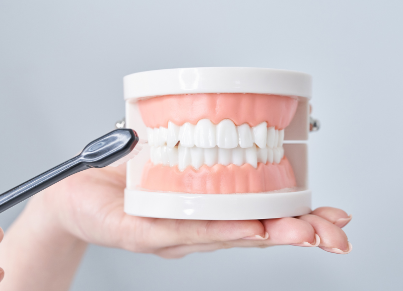 歯磨き指導|しろきデンタル