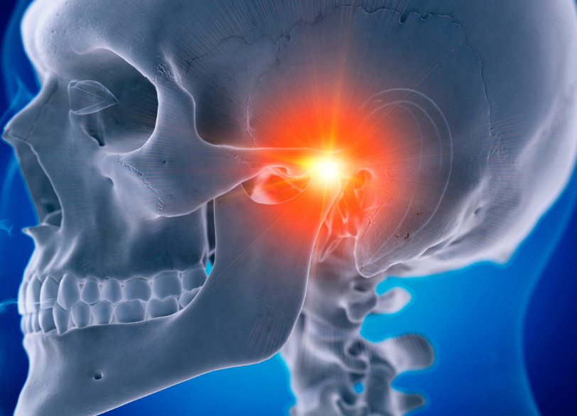 顎関節の仕組み|しろきデンタル