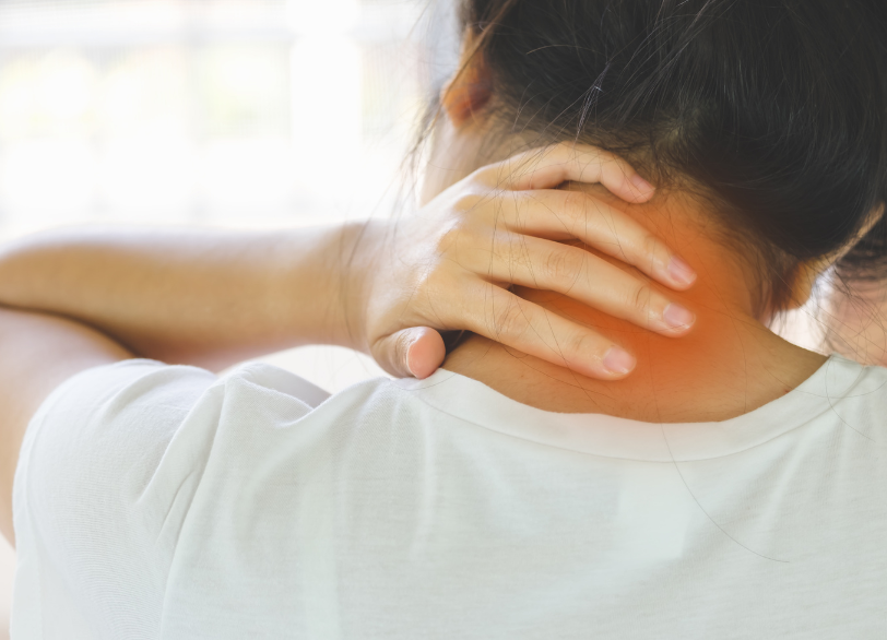 筋肉への影響|しろきデンタル