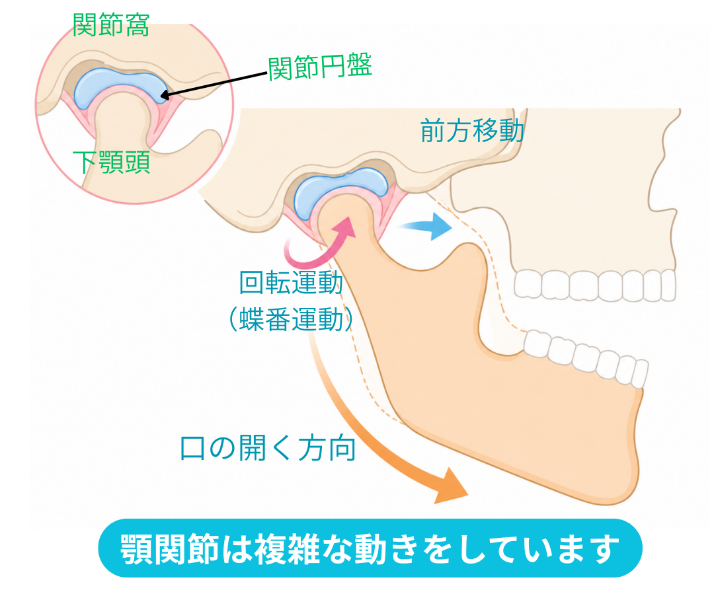 顎関節症の説明