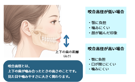咬合高径の説明