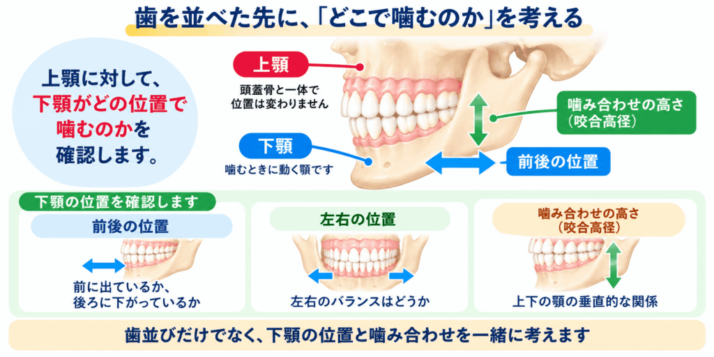 どこで噛むのかを考えるイメージ