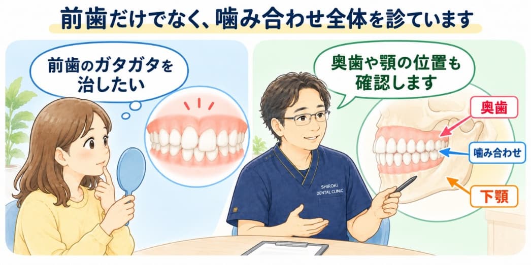 噛み合わせ全体を確認して矯正を進める歯科医師