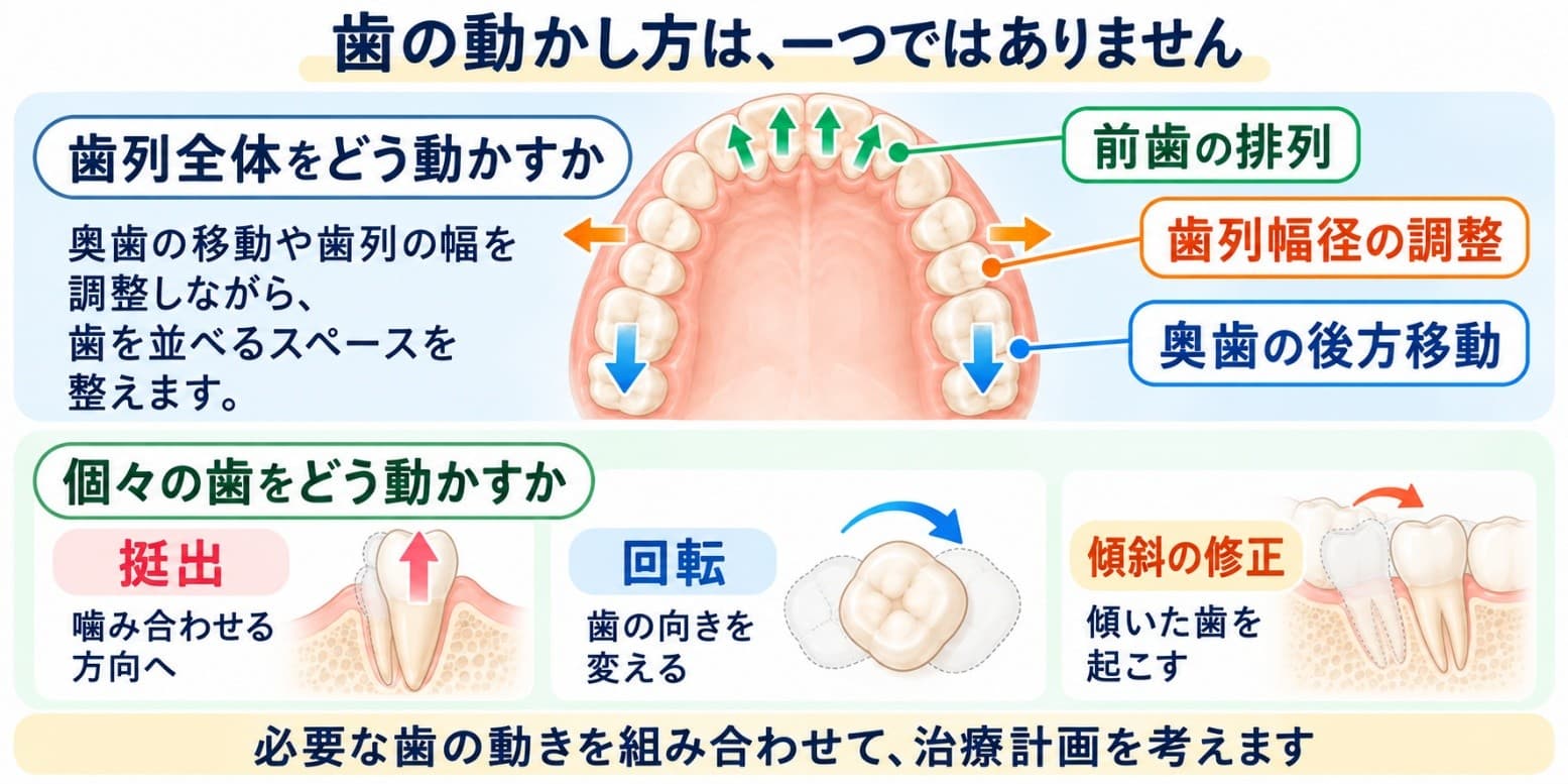 歯の動かし方の説明